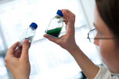 technicien / technicienne biologiste