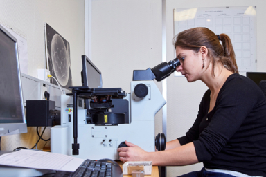 ingénieur / ingénieure métallurgiste